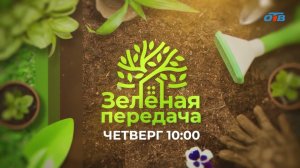 Рекламный блок ОТВ 25.05.2024