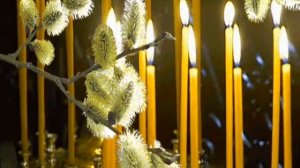 ВЕРБОЧКИ - исполняет Елена Фролова