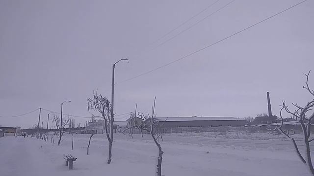 1016. Салат Марсель. смотреть онлайн