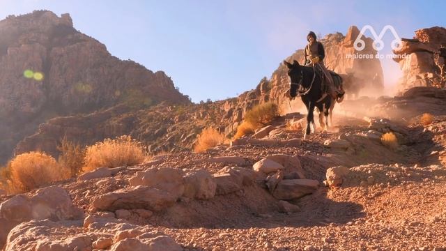 CRUZA DE CAVALO COM JUMENTA смотреть онлайн