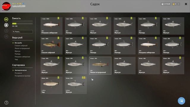 Русская рыбалка 4(рр4/rf4) - река Тунгуска. Муксун и пелядь. смотреть онлайн