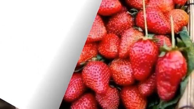 Керемет өлең смотреть онлайн