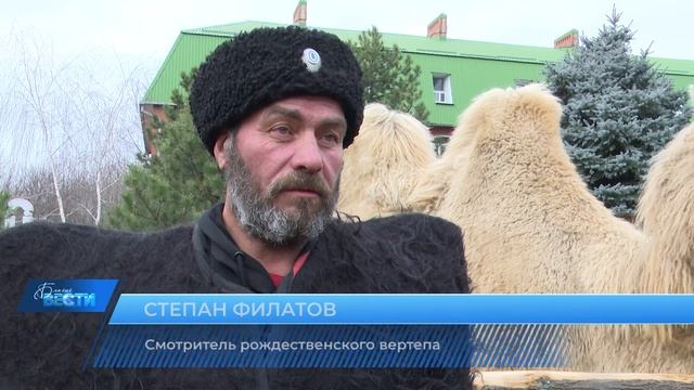 В день Собора Пресвятой Богородицы митрополит Григорий совершил Литургию в Христорождественском хра смотреть онлайн