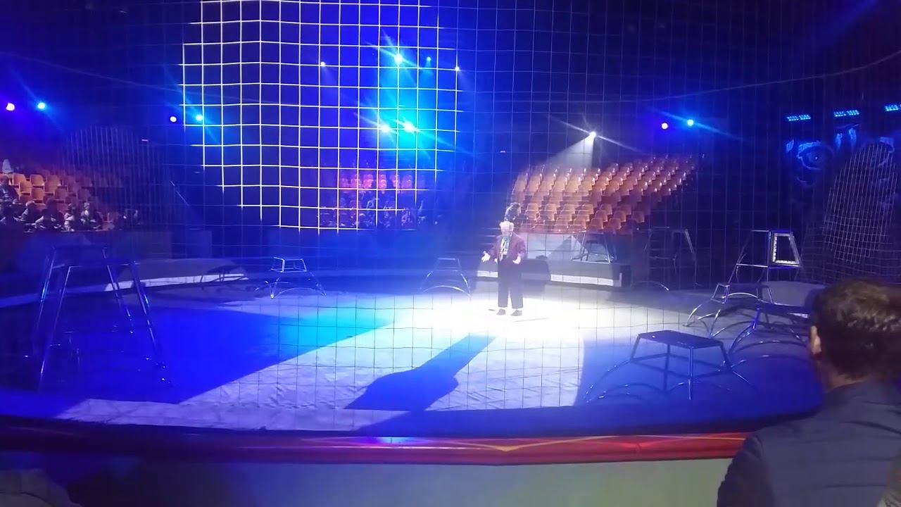 реприза степ