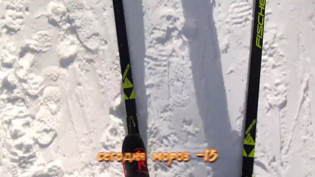 ВШЭ на Вороновской лыжне - 6 февраля 2021 смотреть онлайн