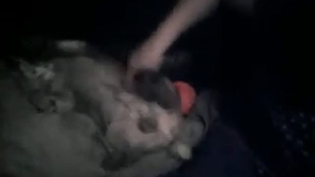 ny funny little kane xxx смотреть онлайн