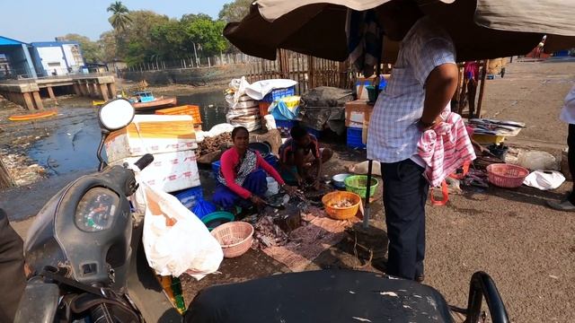 ?? Прикольные муралы в Мумбаи Индия - Где продают рыбу - Urban Art Festival at Sassoon Dock Colaba смотреть онлайн