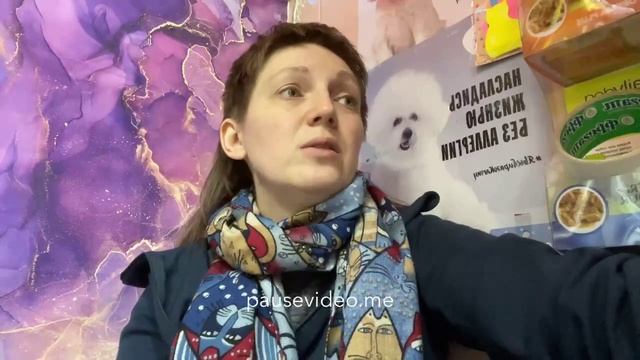 Обзор. Alpha pet, кошки, чёрный альфапет. Треш. Один состав на всех. смотреть онлайн