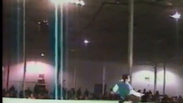 Боевая акробатика(трикинг) смотреть онлайн