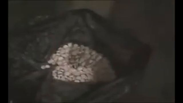 Позолоченая молодежь смотреть онлайн