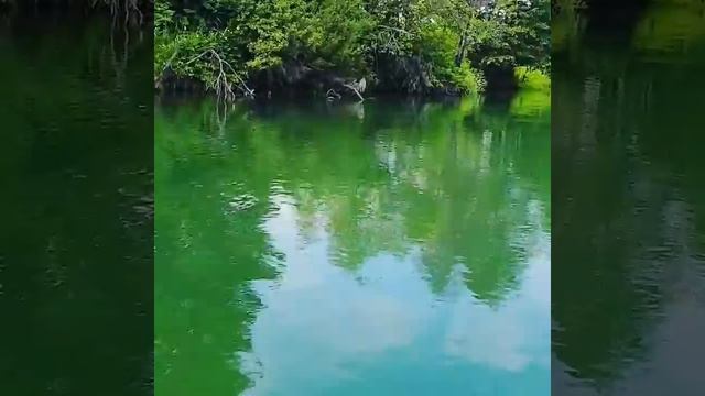 Сплав по реке Пьяна Нижегородская область смотреть онлайн