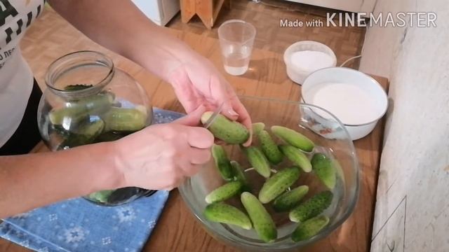 Влог дачный/огурцы консервированные, не взрываются/работа моего мужа/ смотреть онлайн