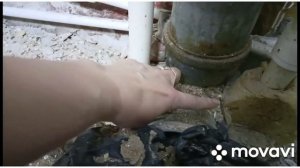 Протекает стояк канализации.