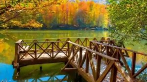 35 haftalik homila. Homiladorlikning 35-haftasi.