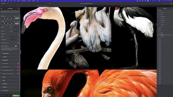 ELEMENTOR CUSTOM ATTRIBUTE KEY VALUE #elementorcustomattributes #elementor #elementortutorials