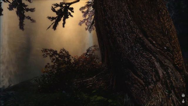 Let's Play Skyrim part 63 смотреть онлайн