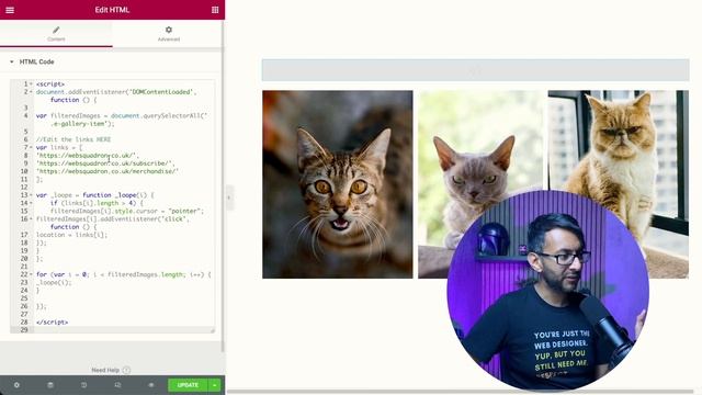 Add URLs to Images in the Elementor Gallery - FREE Code - Element.How - Elementor Wordpress Tutoria смотреть онлайн