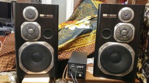 Лучшие японские колонки до 100 тысяч рублей? Sansui xl-900