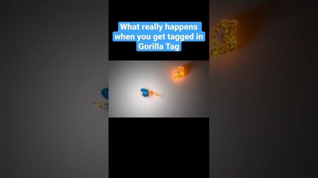 What really happens when you get tagged in Gorilla Tag смотреть онлайн