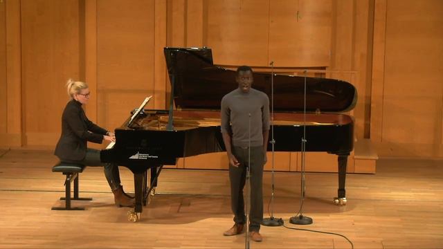 Ariadne auf Naxos: Christian Lange singt "Lieben, Hassen, Hoffen, Zagen..." смотреть онлайн