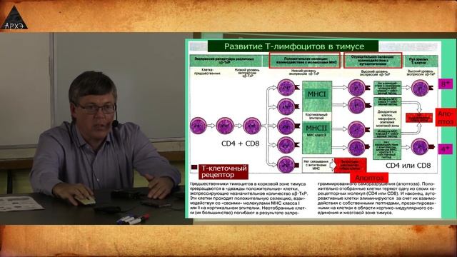 Вячеслав Дубынин: 