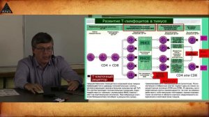 Вячеслав Дубынин: «Иммунитет: общие принципы.Часть 2»