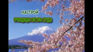 НАСТРОИ  СЫТИНА Г Н   ДЛЯ  ЗДОРОВЬЯ  СЕРДЦА,