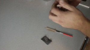 Выращиваем лотос орехоносный из семян дома