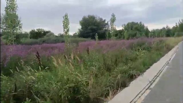 Уральск,парк отдыха,за мостом,езда на велосипеде.23.07.23. смотреть онлайн