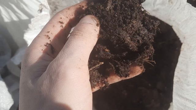 Перегной в мешках в Самаре