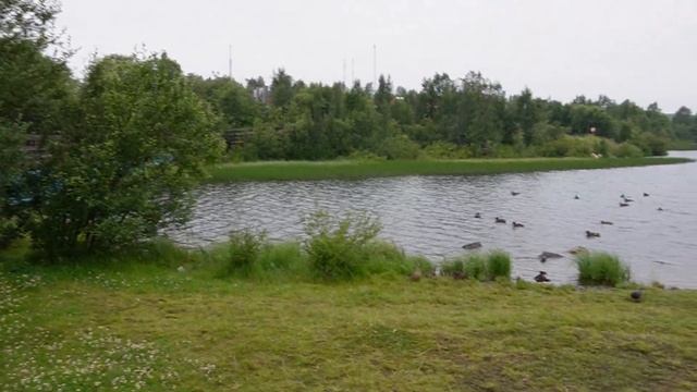 Прогулка по Мурманску от площади Пяти углов до памятника Защитникам Заполярья. смотреть онлайн