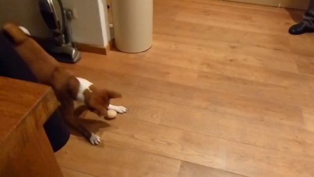 Играет смотреть онлайн