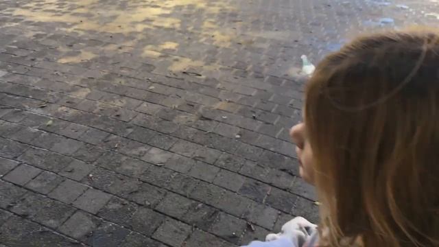 Бейрут, Ливан. Французский центр