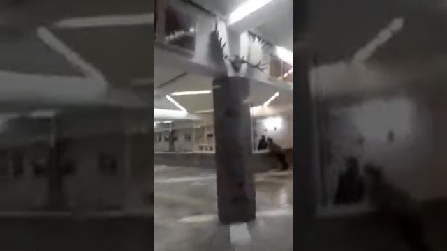 В музее я не девочка!!!! смотреть онлайн
