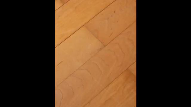 My first pics with Copic Marker смотреть онлайн