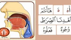 Буква ء. Махрадж. Айман Сувейд. Таджвид. Правильное произношение арабских букв.