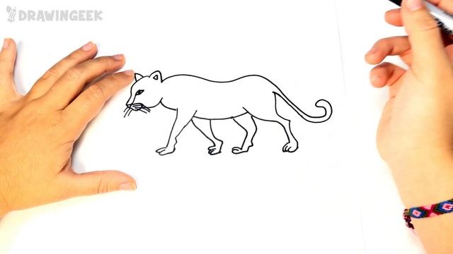 How to draw a Leopard | Leopard Easy Draw Tutorial смотреть онлайн
