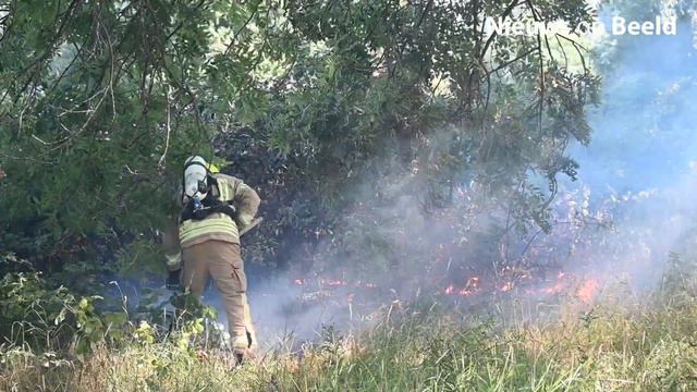 Grote brand in park Floris de Vijfdelaan Vlaardingen смотреть онлайн