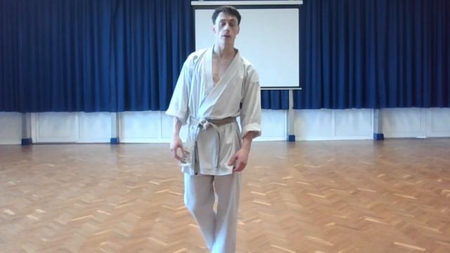 Kihon Kata - Tutorial смотреть онлайн