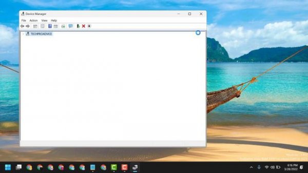 Fix Video Driver Crashed and Was Reset on Windows 10 /11