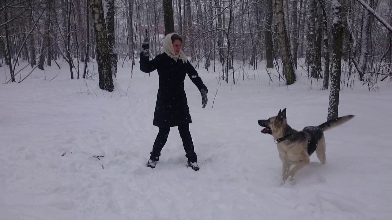 Зима! смотреть онлайн
