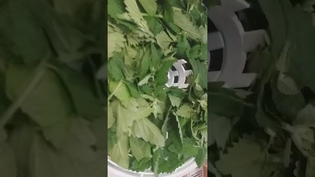 Секреты Творческого Процесса