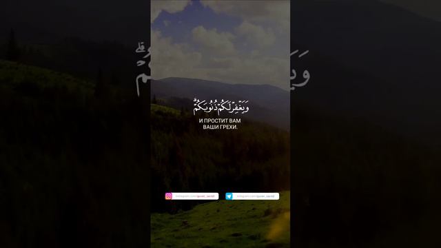 Сура 33 Аль-Ахзаб Чтец Мухаммад Тарик аяты 70-71 #истина #пророк #ислам #коран #сунна #сура #религи смотреть онлайн