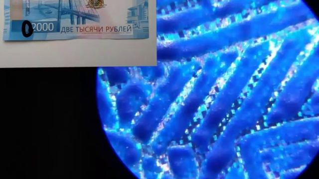 2000 рублей под микроскопом смотреть онлайн