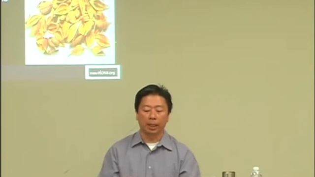 Herbs with Anti-Viral Effects -- Online Acupuncture PDA смотреть онлайн
