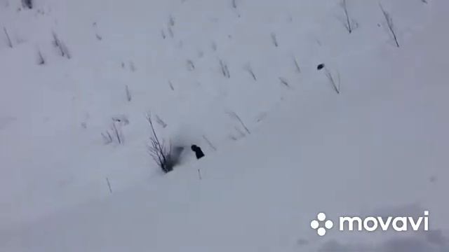 Гриша молодец!