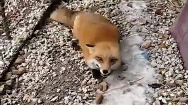 Это я когда выпью лишнюю чашку кофе смотреть онлайн