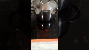 Индукционная плита. Как включать. Особенности