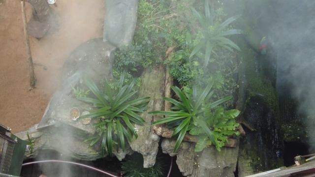 Экскурсия в тропический лес в центре Дубая - The Green Planet Dubai review - влог смотреть онлайн