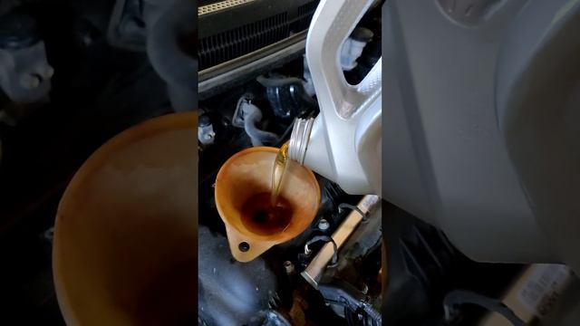 Меняем масло, заливаем  Shell helix ultra 5w-30 Ect C3.